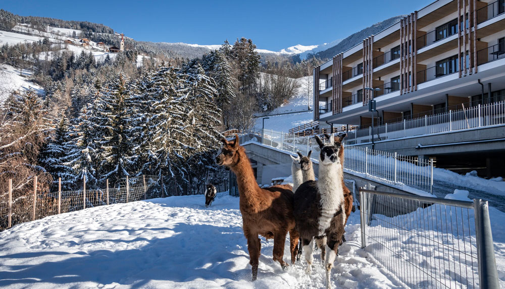 7 Tage im Familienhotel in Brixen